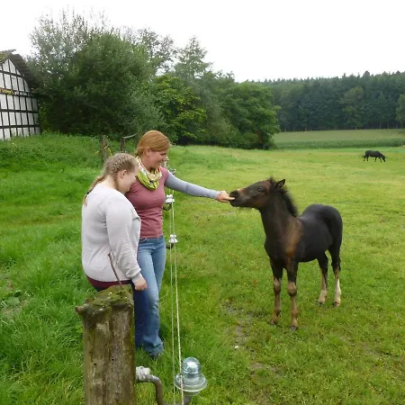 Ferienhof Frohne - Im Kaustall
